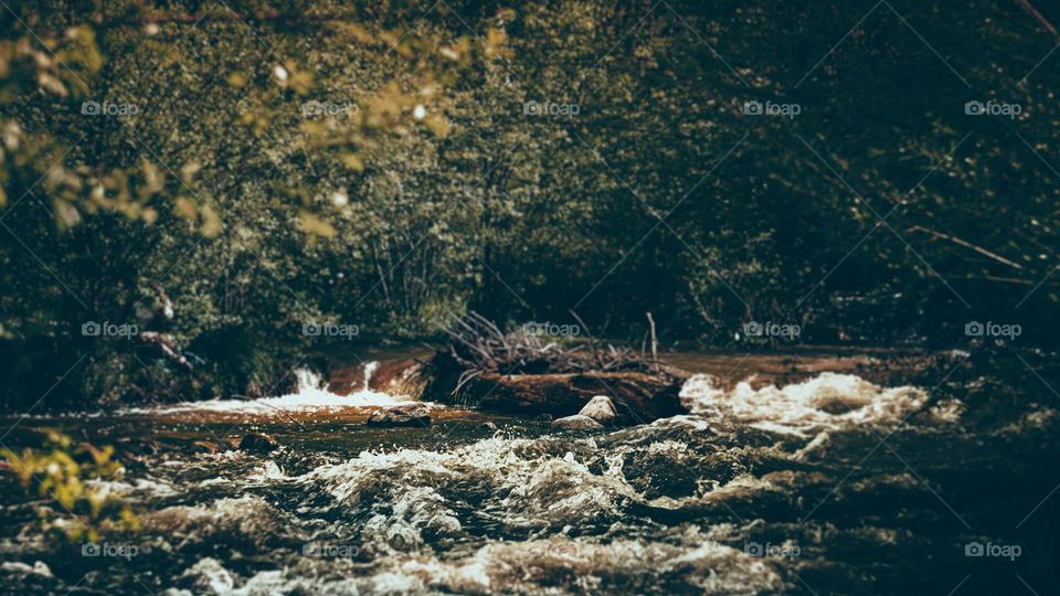 Natural dammed river in action.