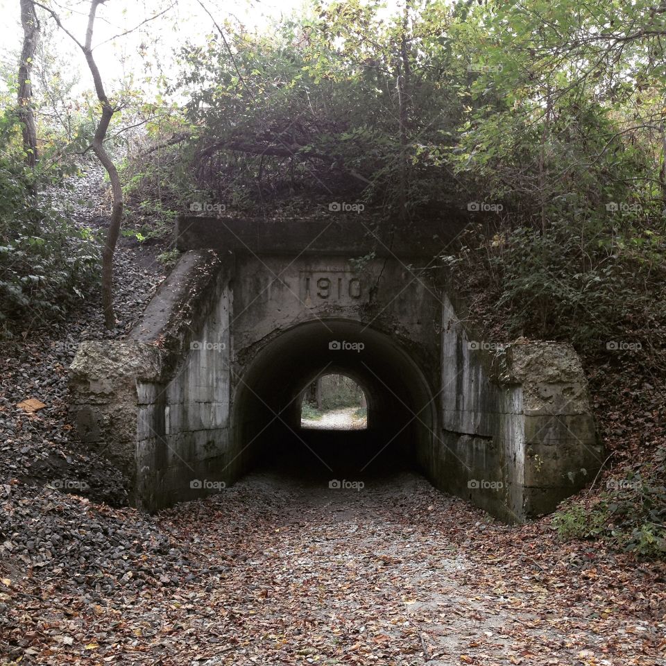 Forest tunnel