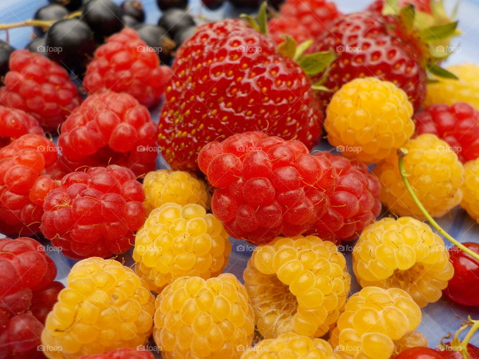 Close-up of yellow and red berries