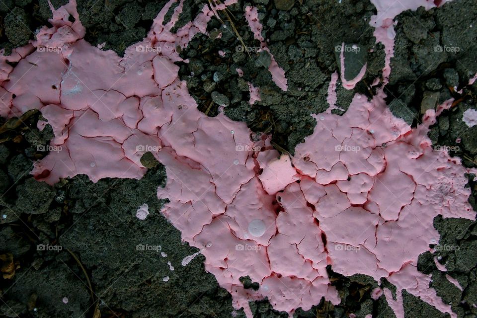 paint pink texture