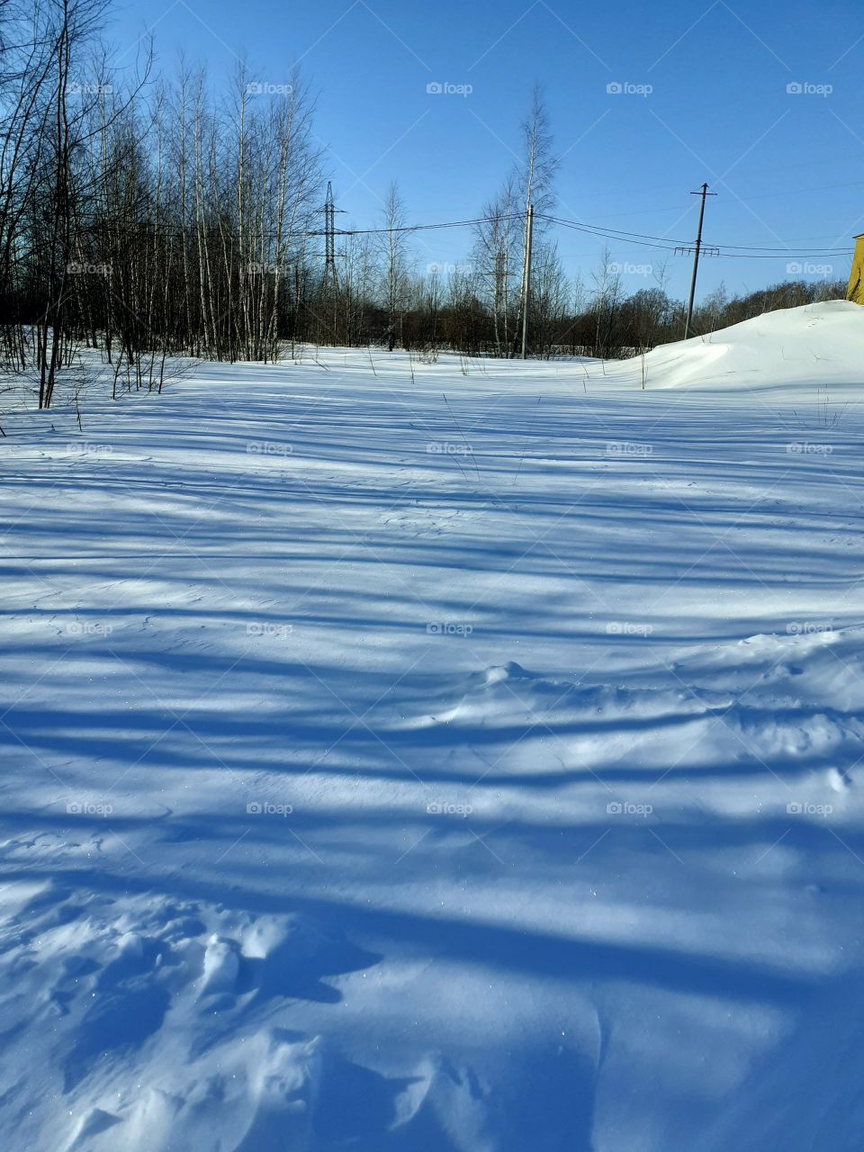 солнечный свет