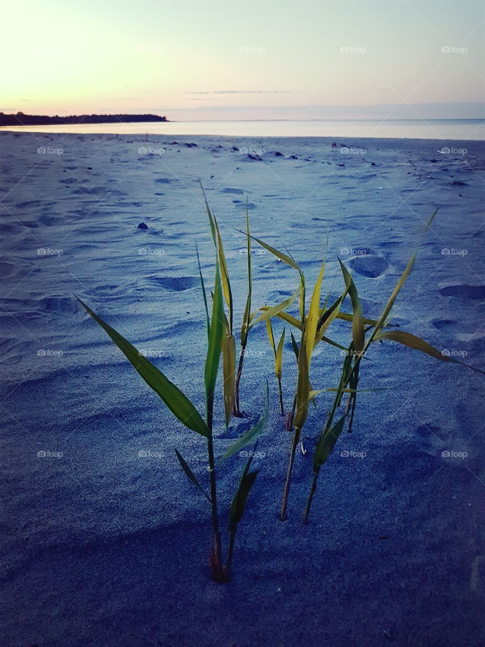 life on the beach nightime