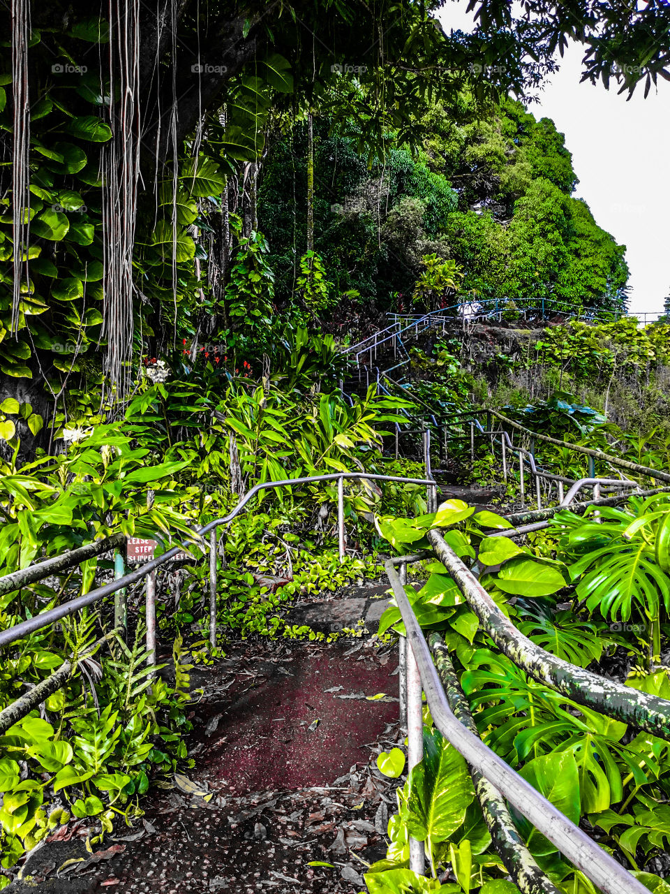 Stairway to The top of Rainbow Falls