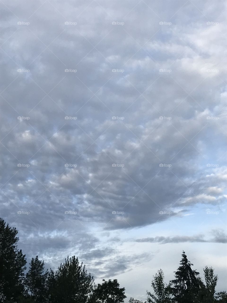 Rain possibly rolling in, Seattle?