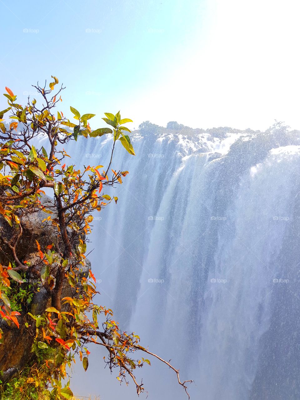 Victoria Falls