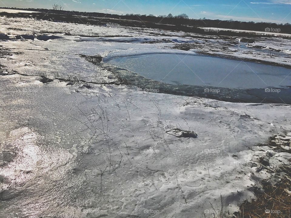 Frozen pond...