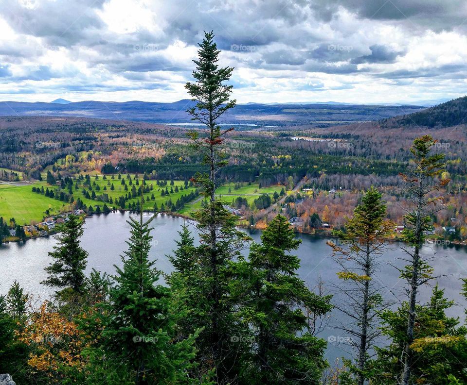 the valley's coniferous forest surrounding the lake
