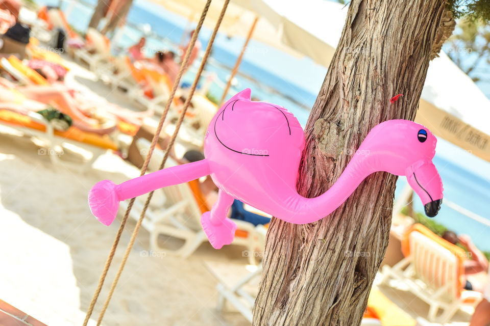 Flamingo inflateble