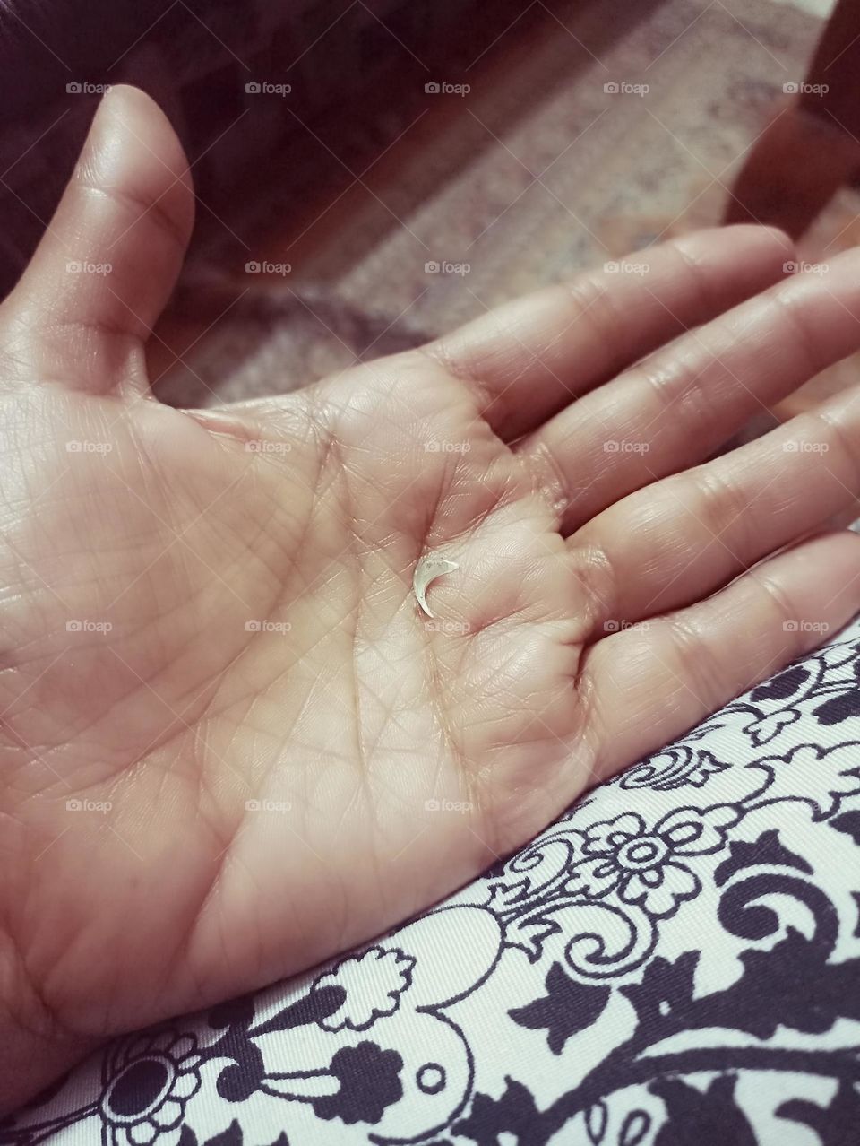 sharp like a knife let's cut and tear