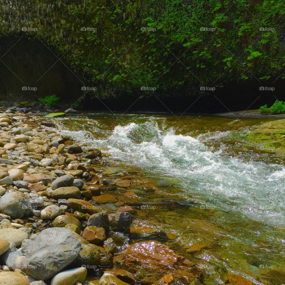 Creek Rapids. Shallow rapids along the Eagle Creek trail in Oregon.