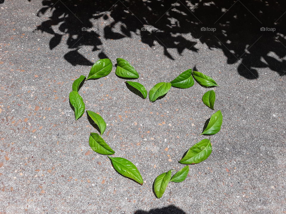 Green heart made with leaves