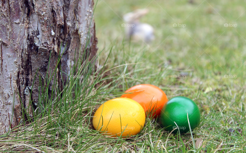 three colored easter eggs beside a tree with easter bunny in