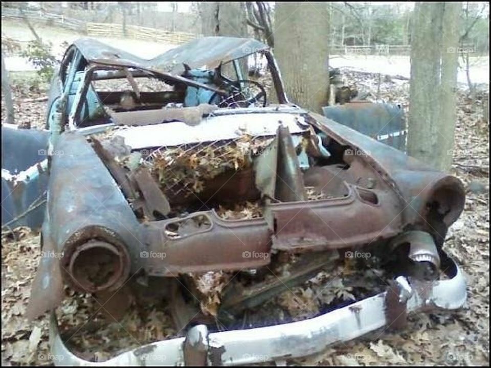 Old car abandoned in the woods