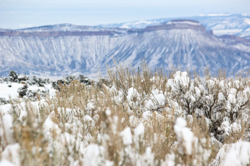 Monument View, Colorado. 