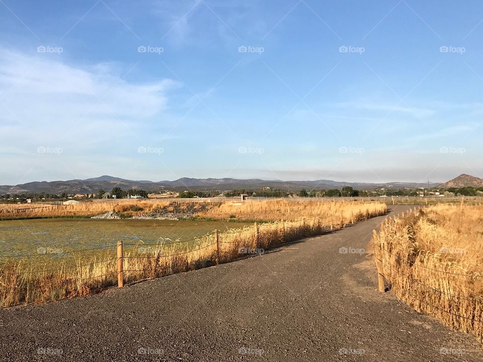 Golden evening light falls upon the Crooked River Wetlands outside of Prineville in in Central Oregon on a pleasant fall day.