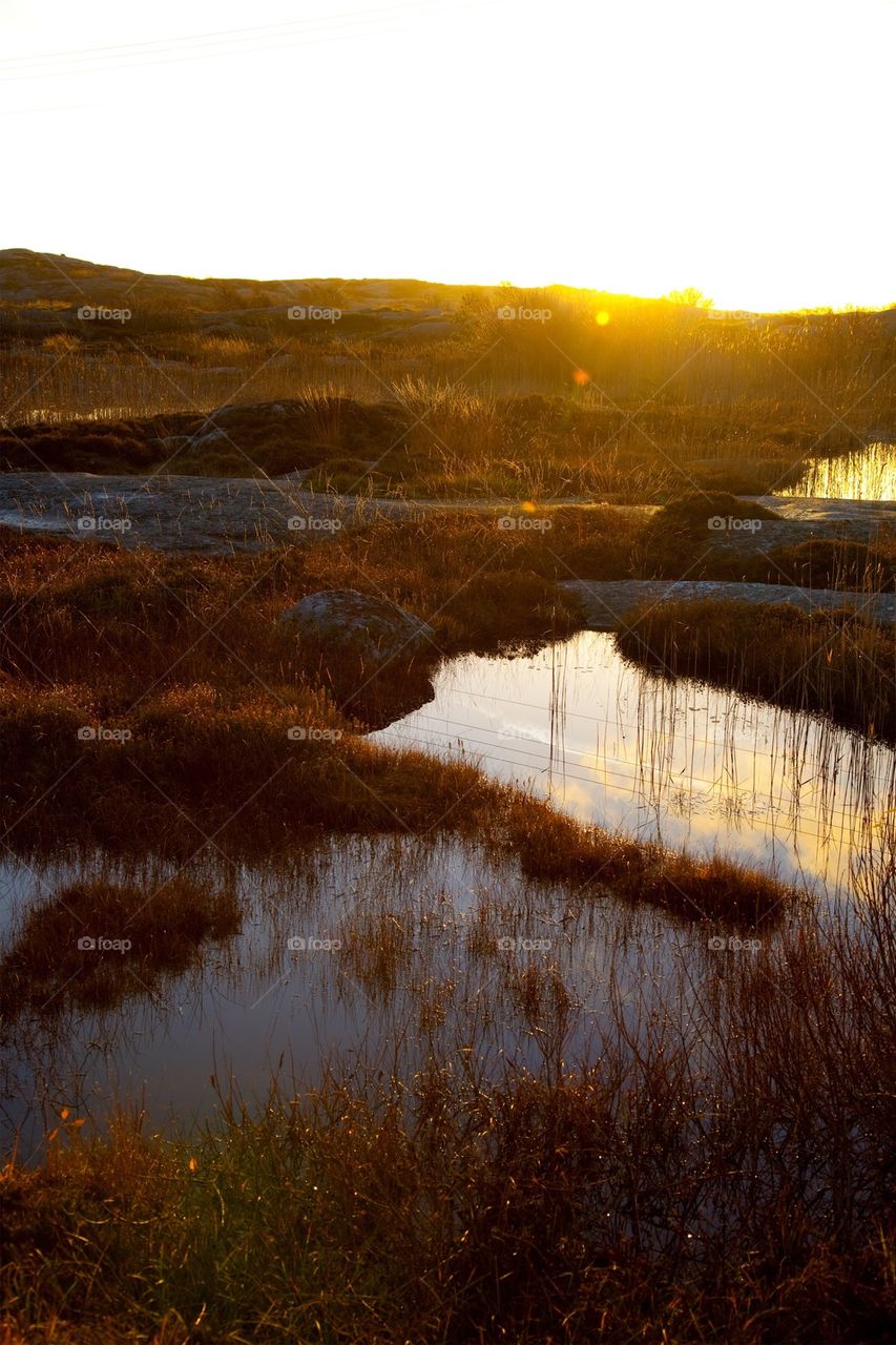 View of dry grass near water