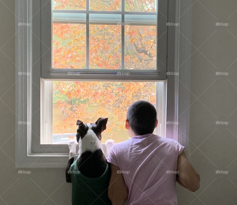 A boy and his dog looking out the window on a beautiful fall day