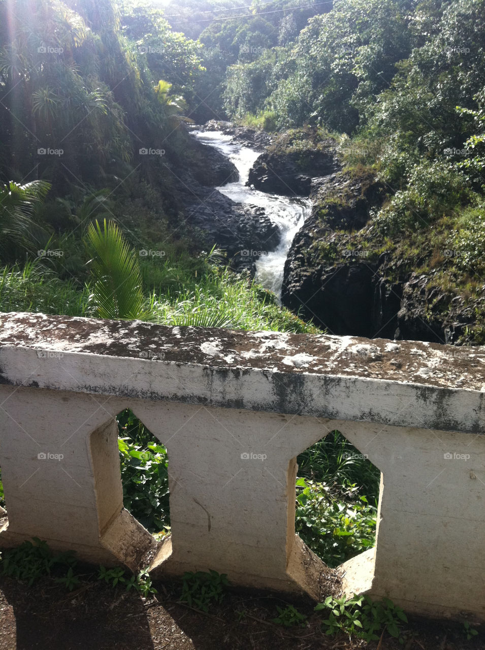 water bridge old maui by mauipose