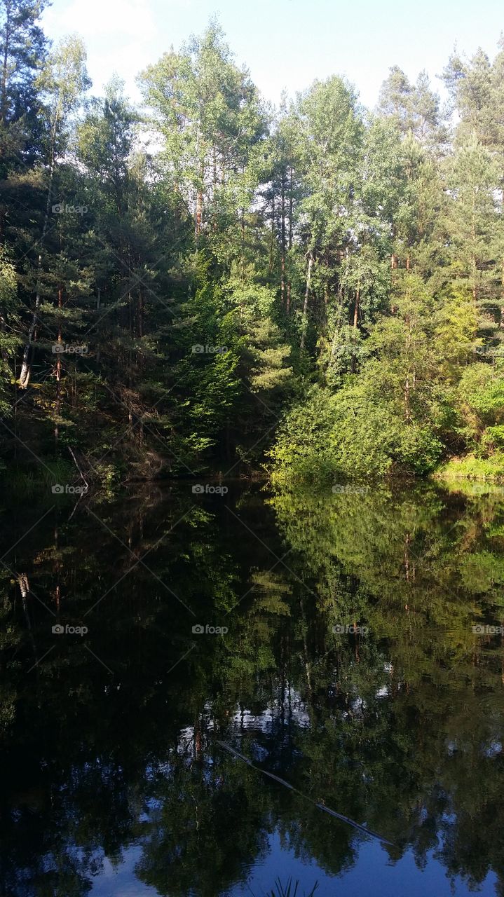 maryśeńka in clear day