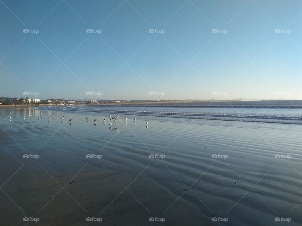 Beautiful beach at essaouira city in Morocco.