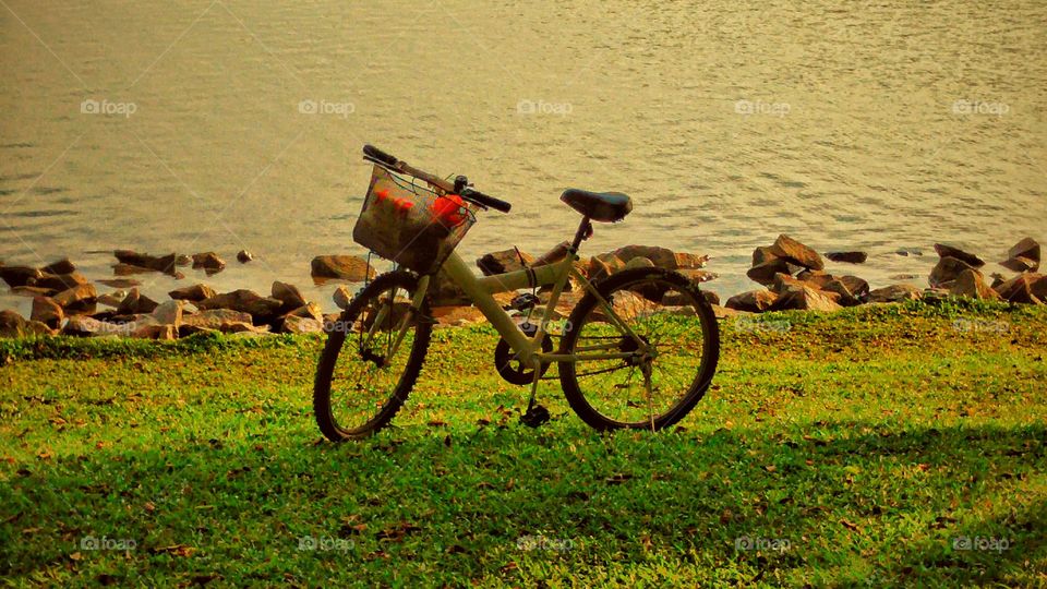 besides still waters. bicycle parked by the banks of the lake