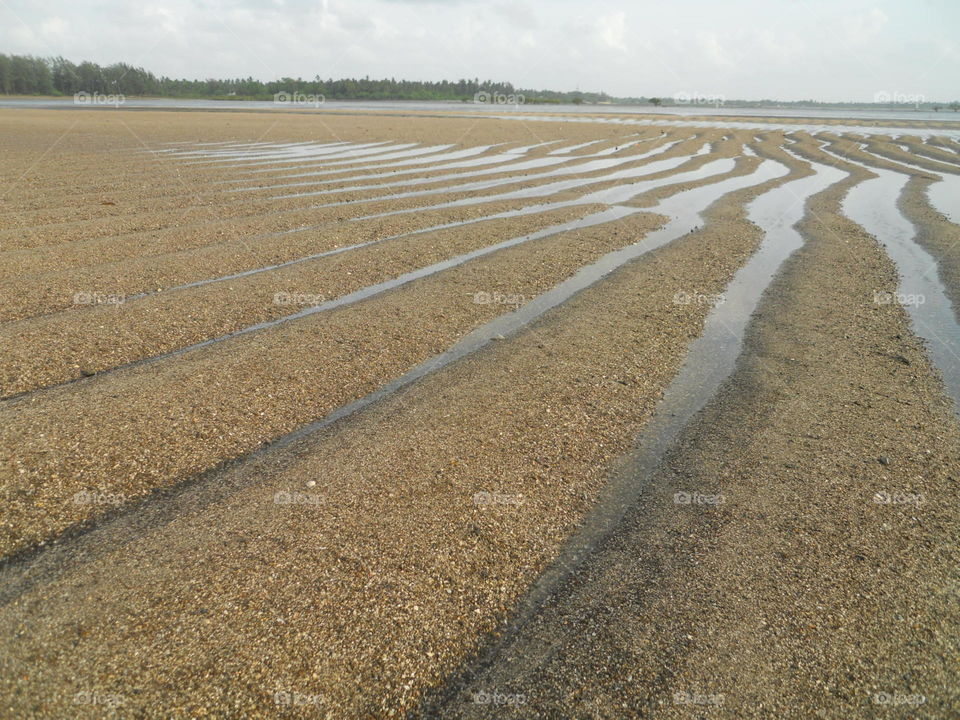 Sand Dunes & Water Channels