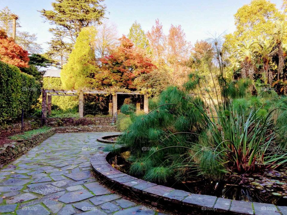 Autumn/Fall at The Porto Botanical Garden