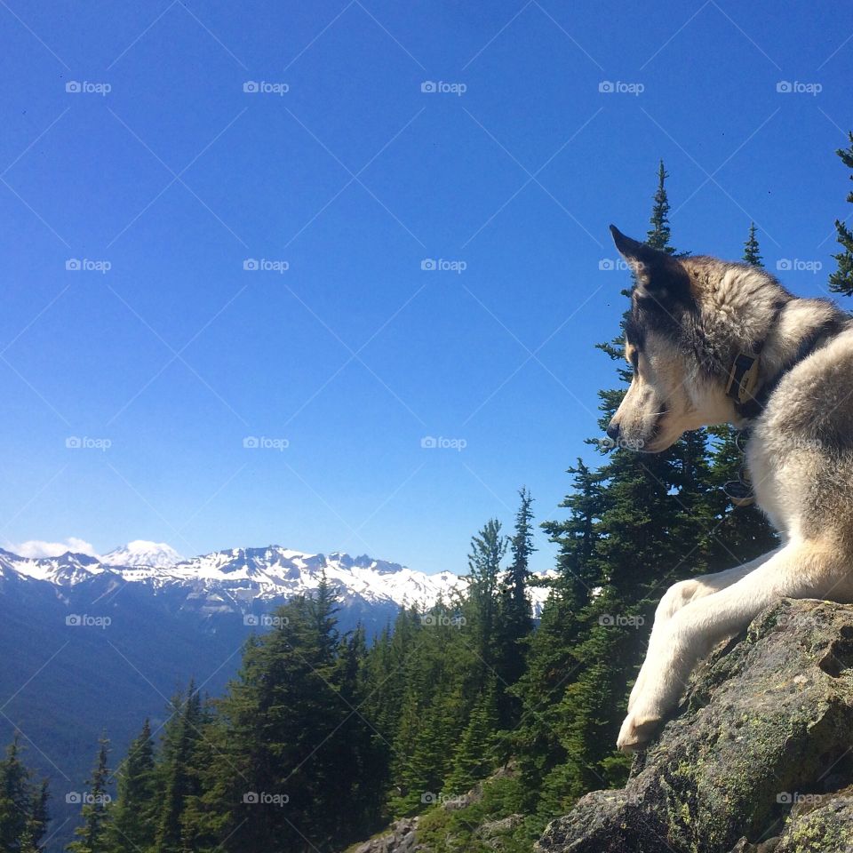 The view from up top
