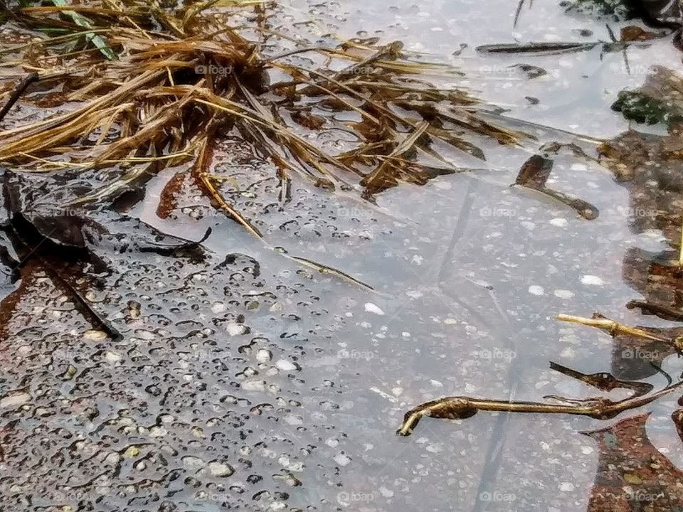 wet surface and dead grass