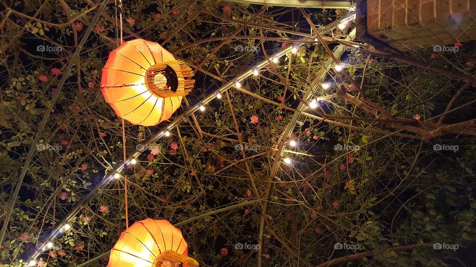 China Lights Lanterns