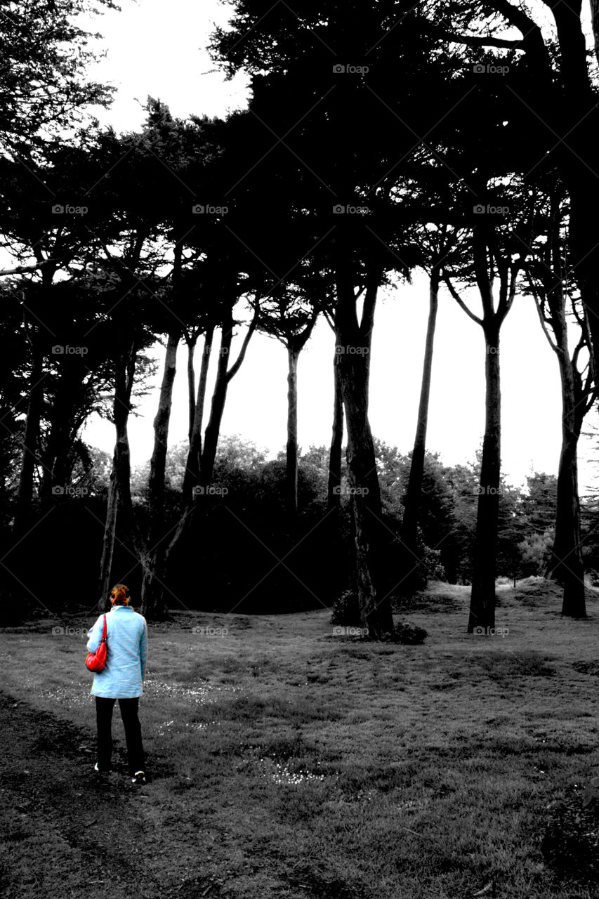 Walking Among Giants