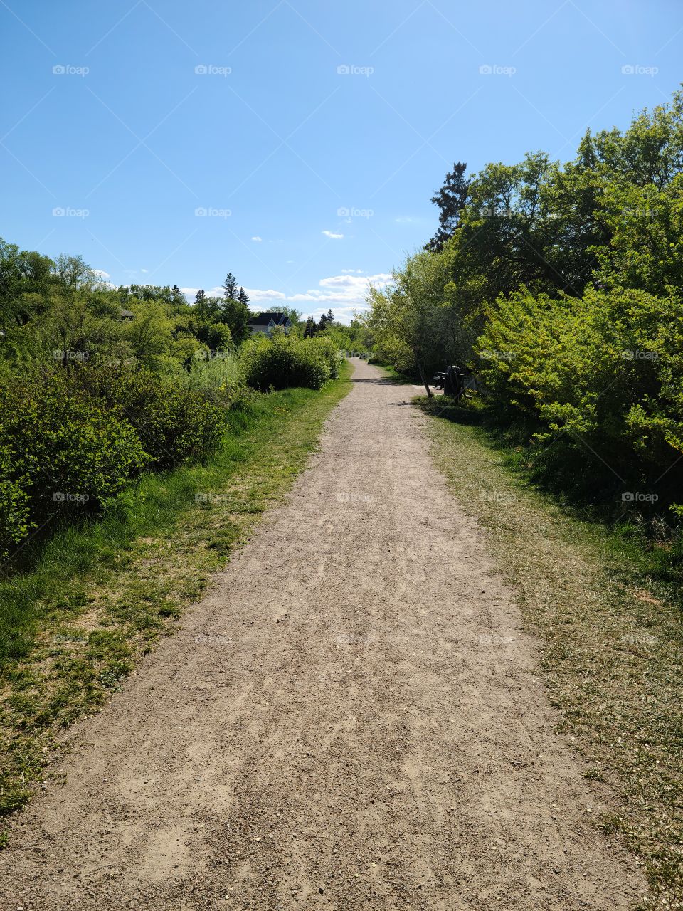 A bike path in Regina, Saskatchewan