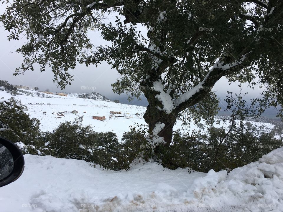 Guelma sous la neige