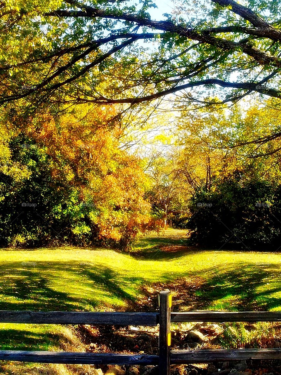 Sunny day in the park