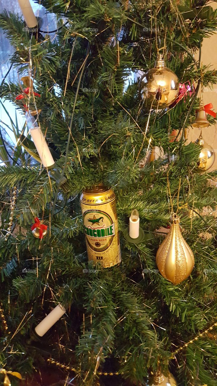 PARTY WHEN THE CHRISTMAS TREE IS STRIPPED OF DECORATIONS