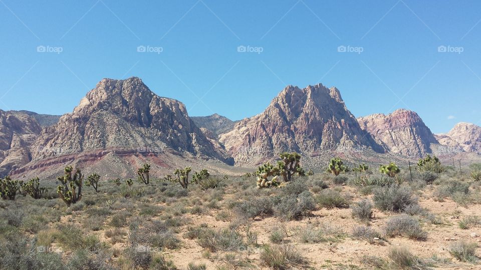 Beauty of RedRock Canyon Las Vegas Nevada