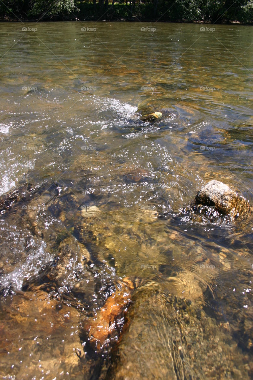 Running water over rocks