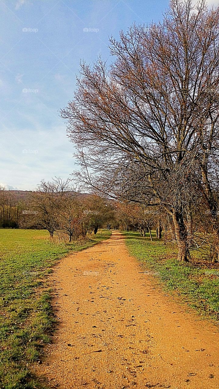 Percorrendo il sentiero