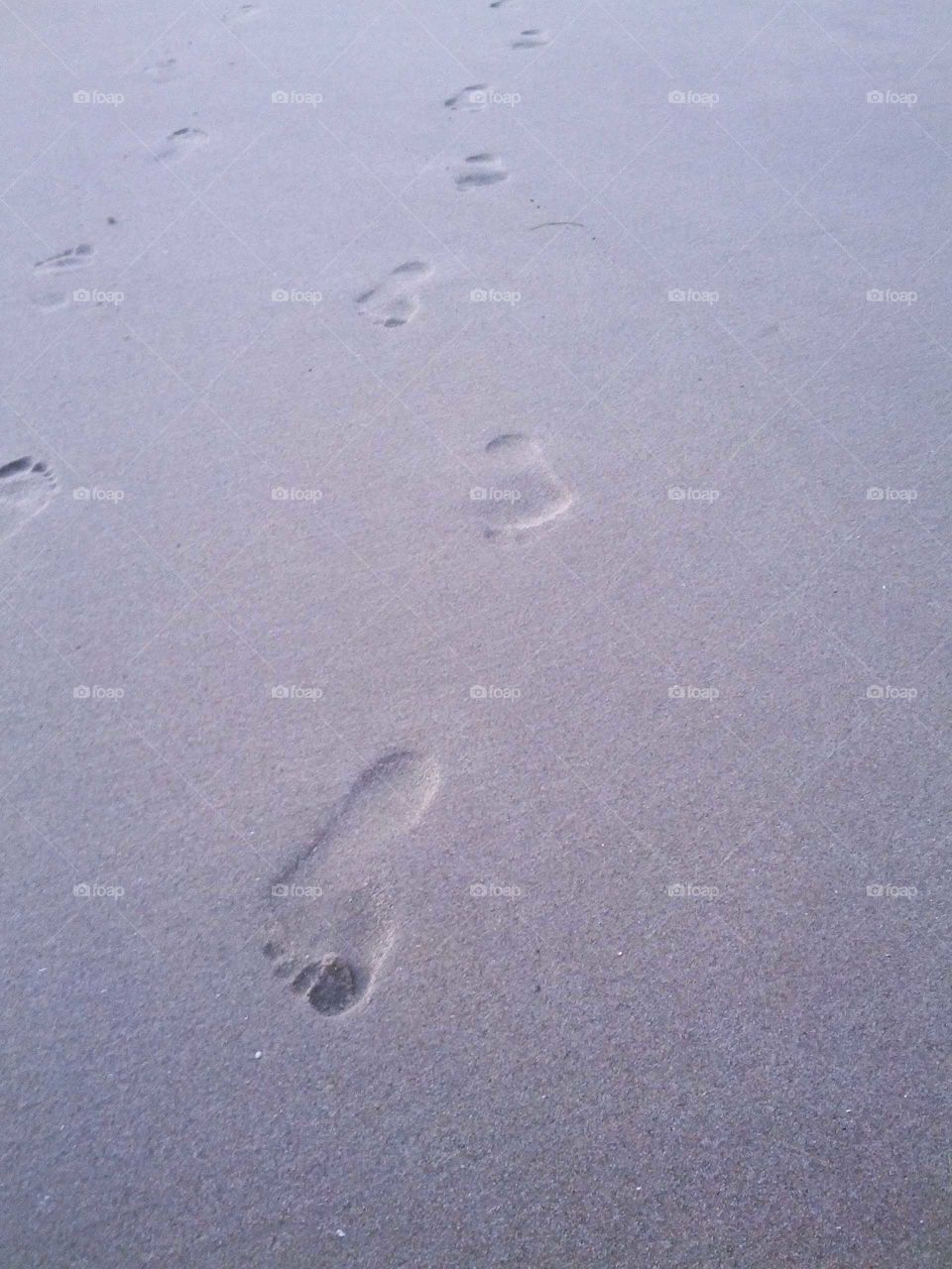 Footprints in the sand