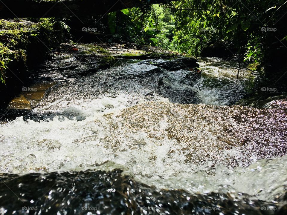 Argue stud of your nose in kiddo 