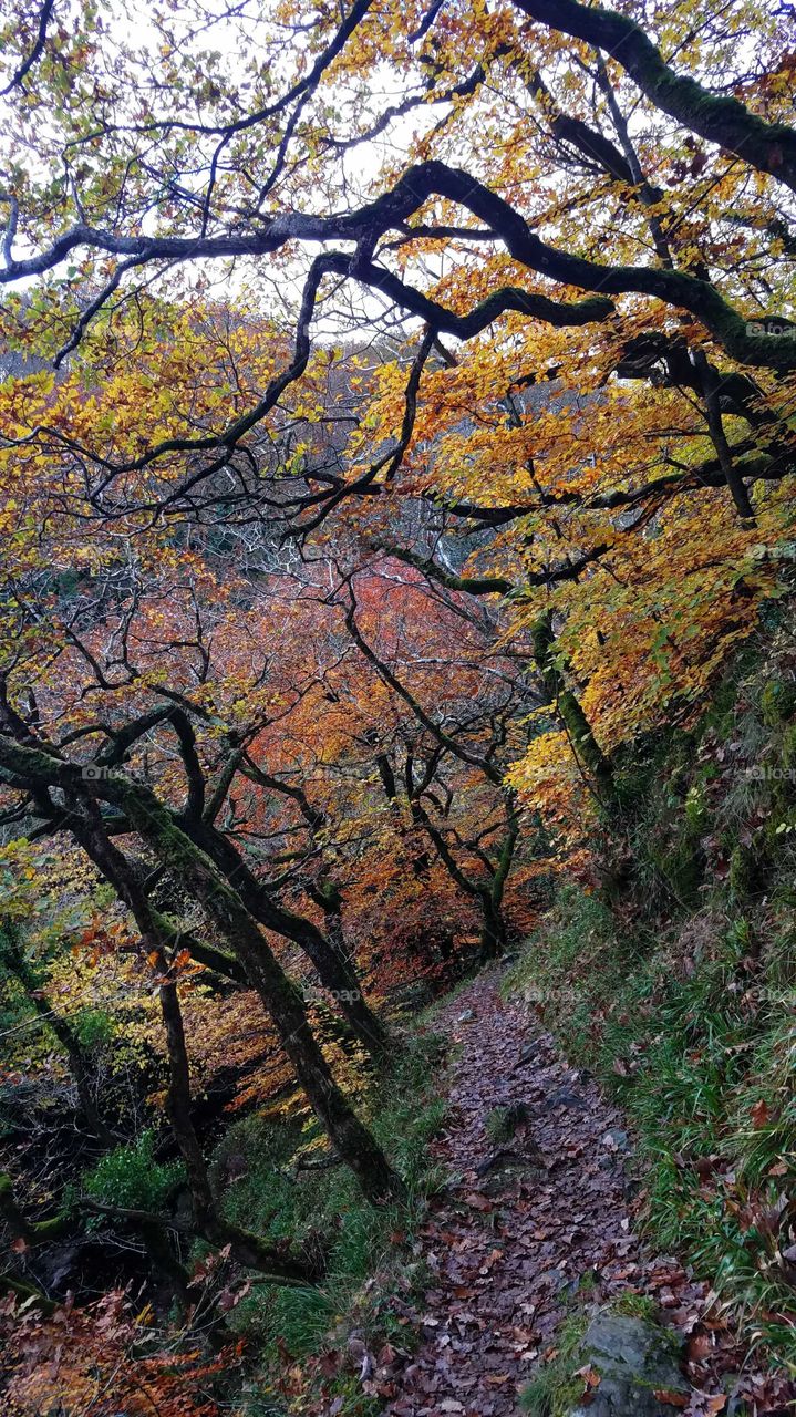 Watersmeet, North Devon