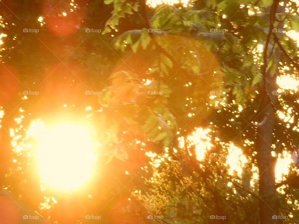 sun