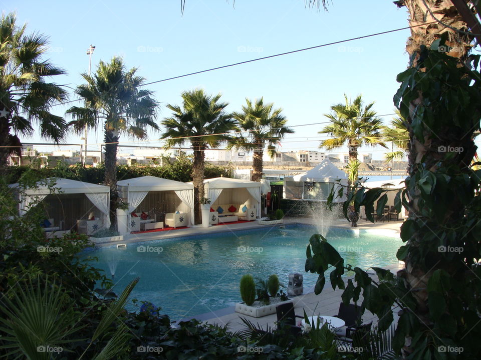 Resort, Hotel, Dug Out Pool, Palm, Swimming Pool