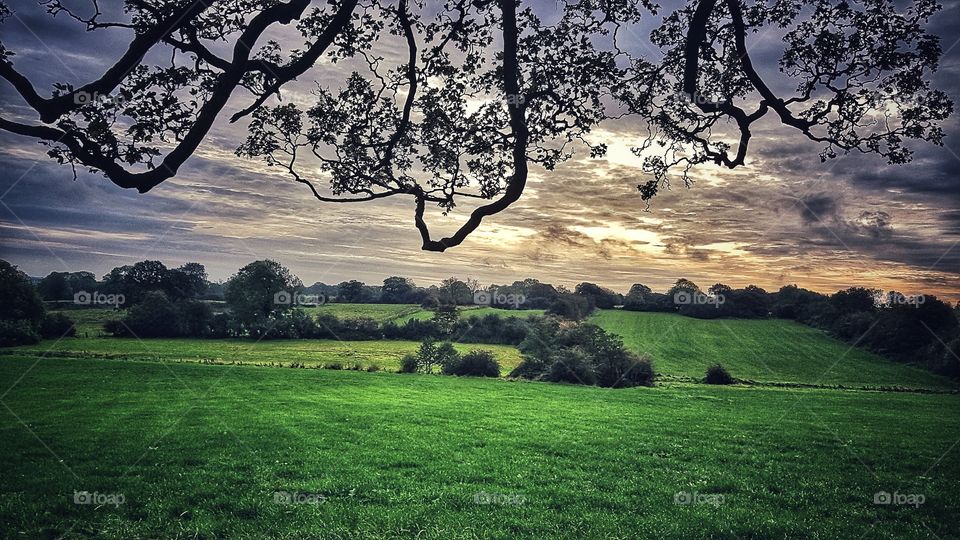 Staffordshire countryside, England