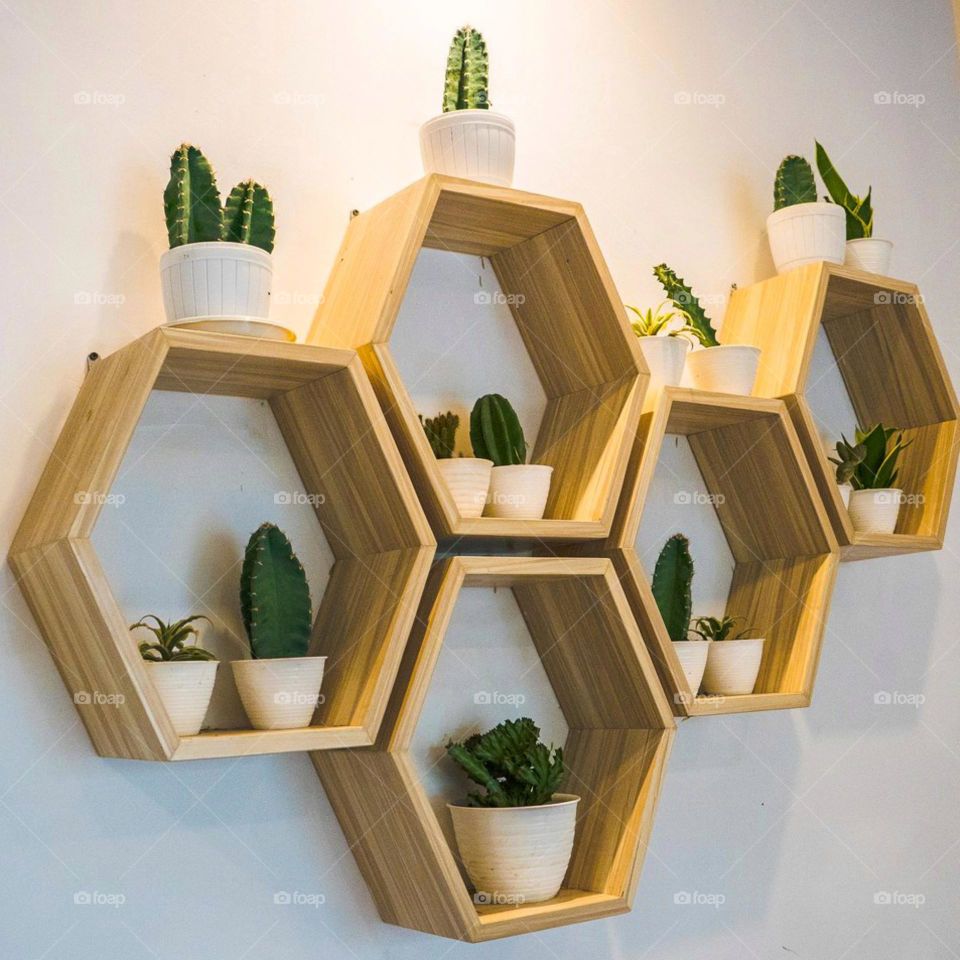 Hexagon-shaped wooden motif wall decoration containing ornamental plants. Decor. Wall. Rack. Wood. Wall decoration. Decorative plants. Cactus. Hexagon. Café. Aesthetic. Photography. Scenes. Tranquil.