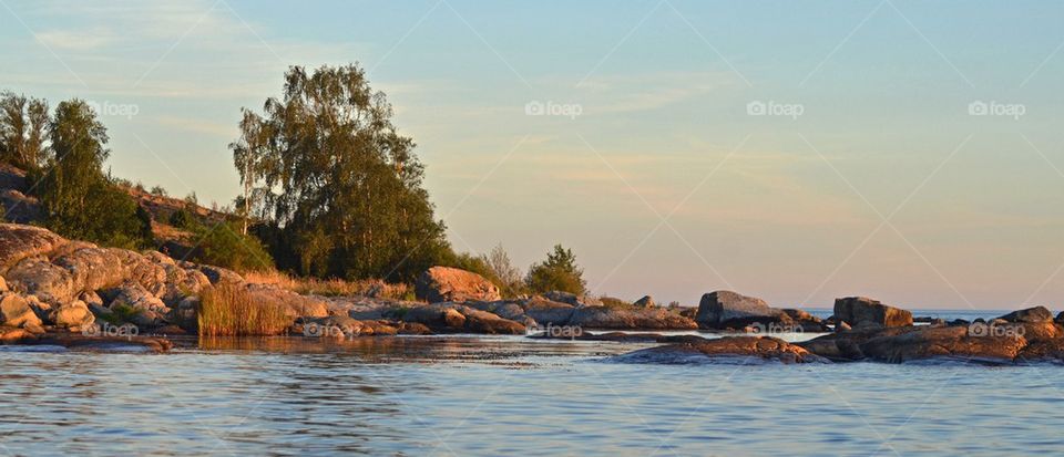 Veiw of rocky costline with trees near lake