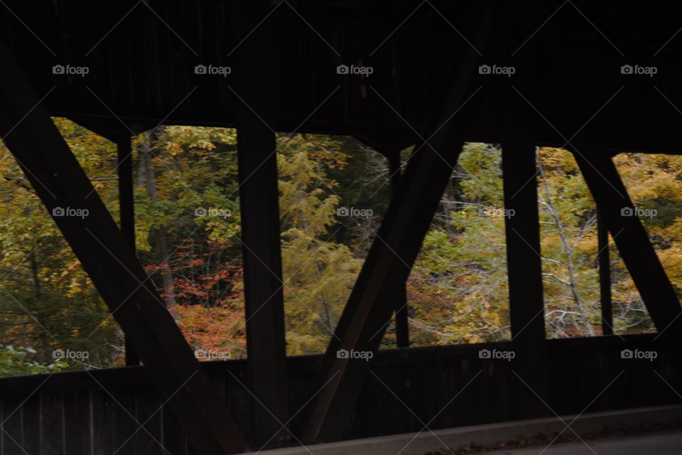 Fall foliage through the windows of the covered bridge