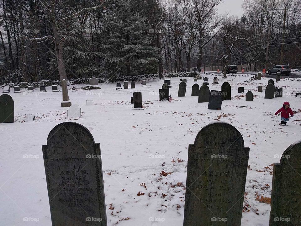 Winter, Snow, Cemetery, War, No Person