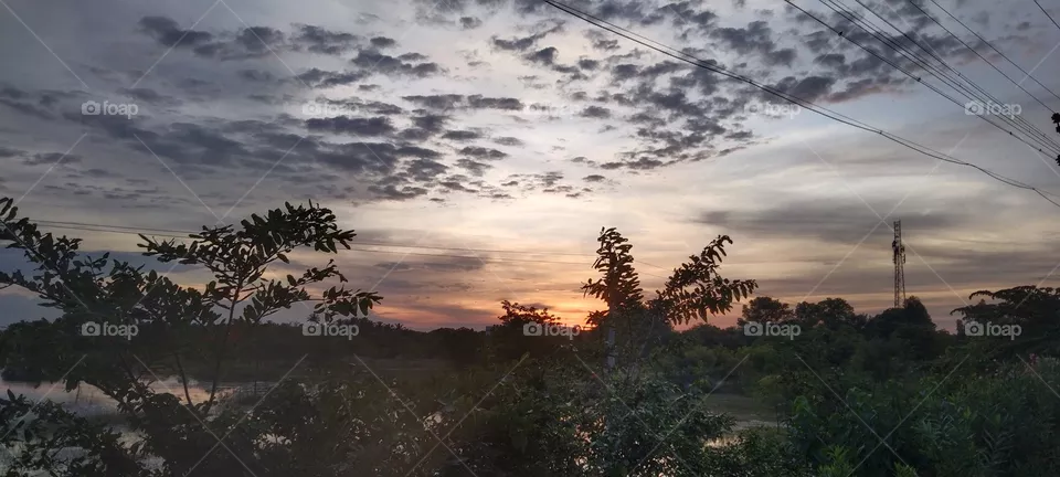 nature