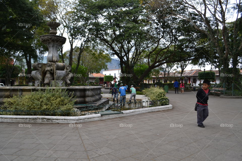 Tree, Park, Garden, Fountain, City